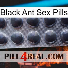 Black Ant Sex Pills 30